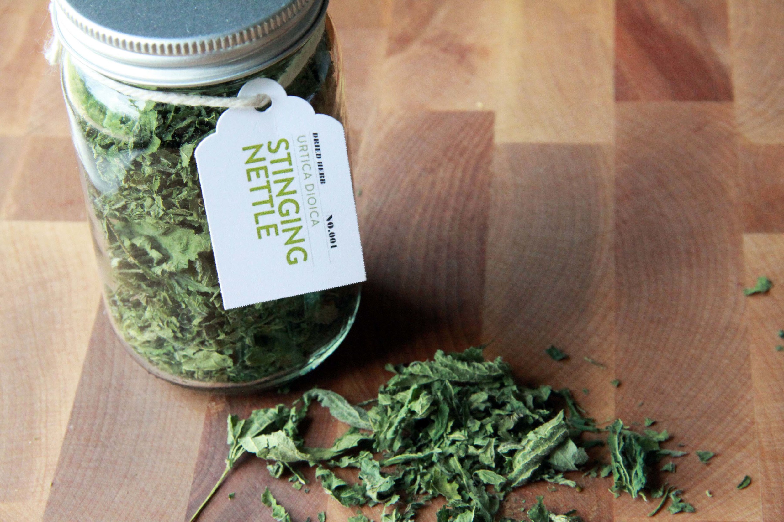 stinging-nettle.jpg