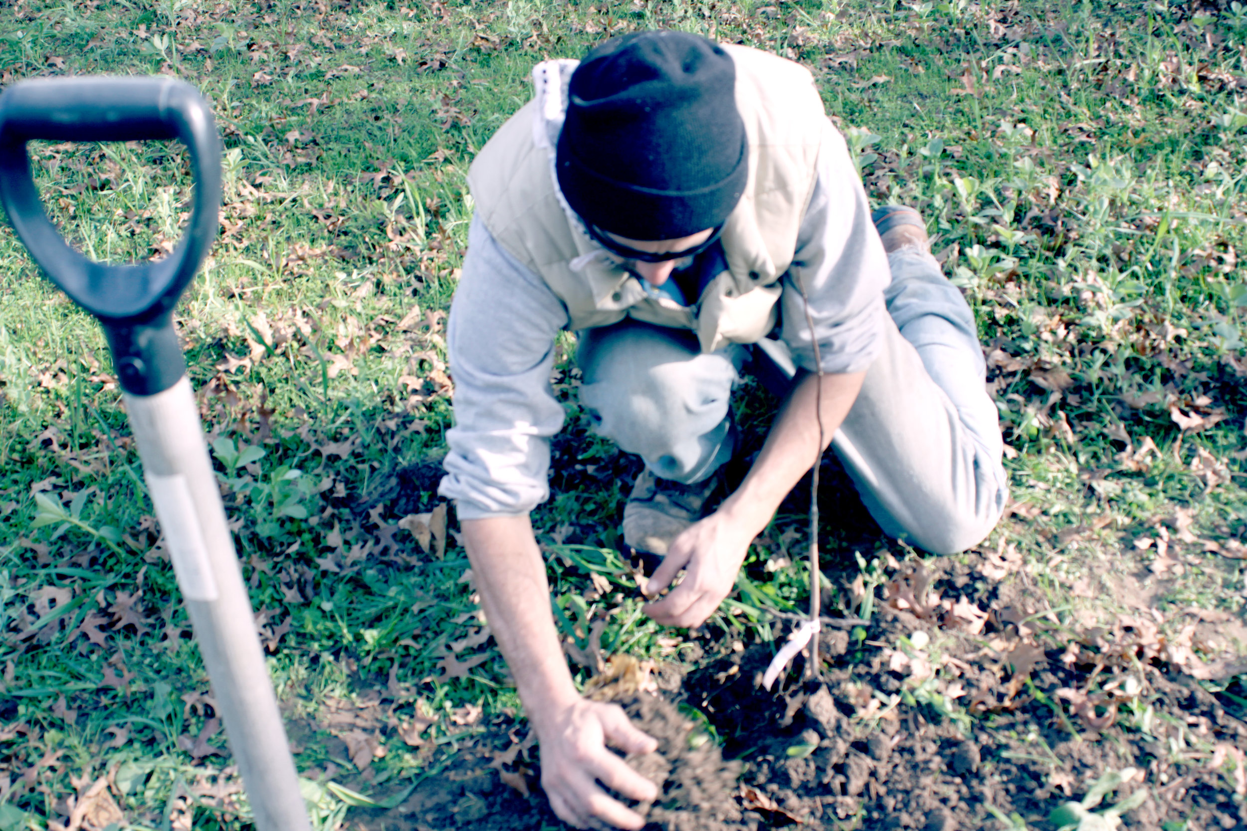 banner-treeplanting_6539.jpg