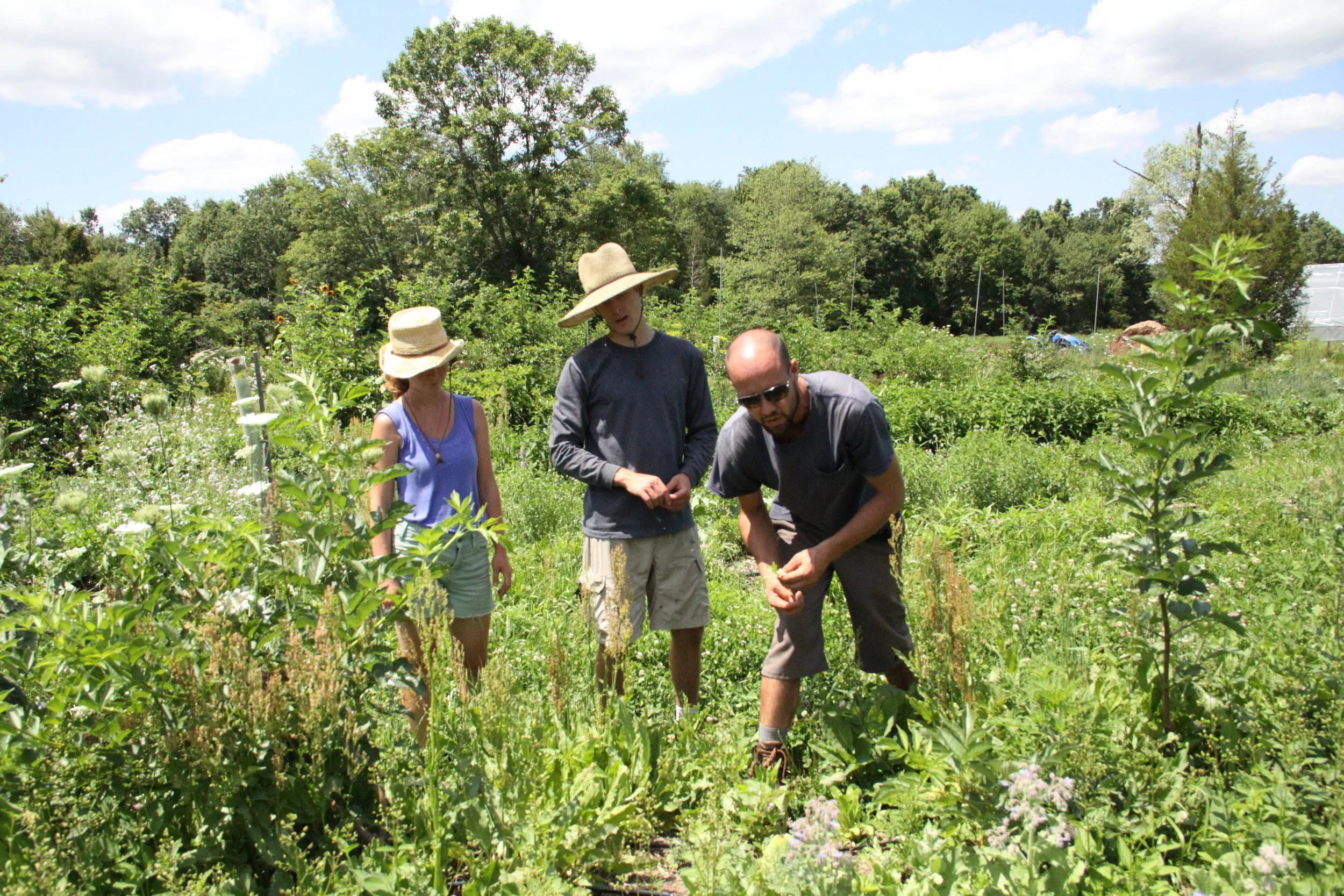 2019 Permaculture Apprenticeship Program Opportunities
