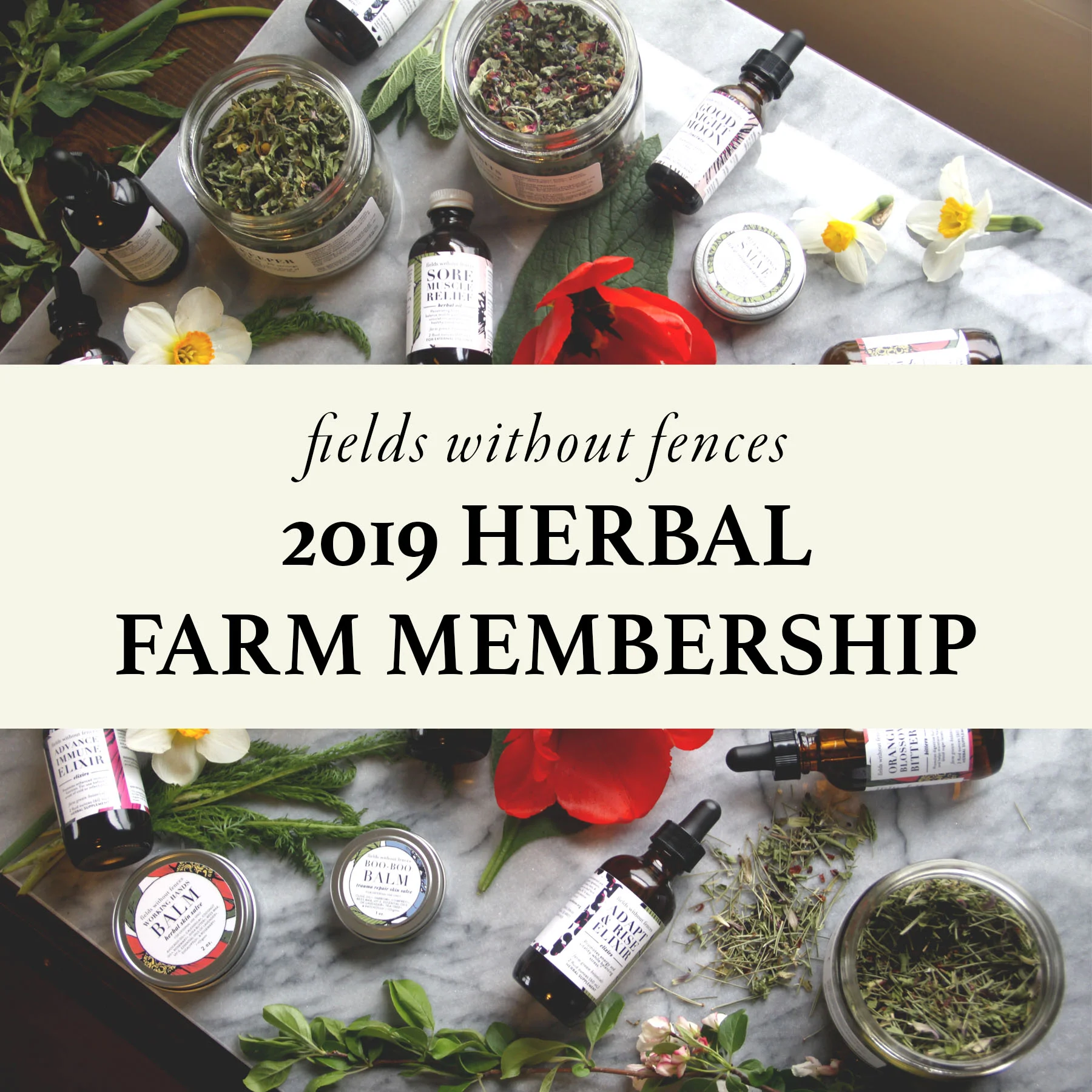 Become a Member of Fields Without Fences Herbal CSA!