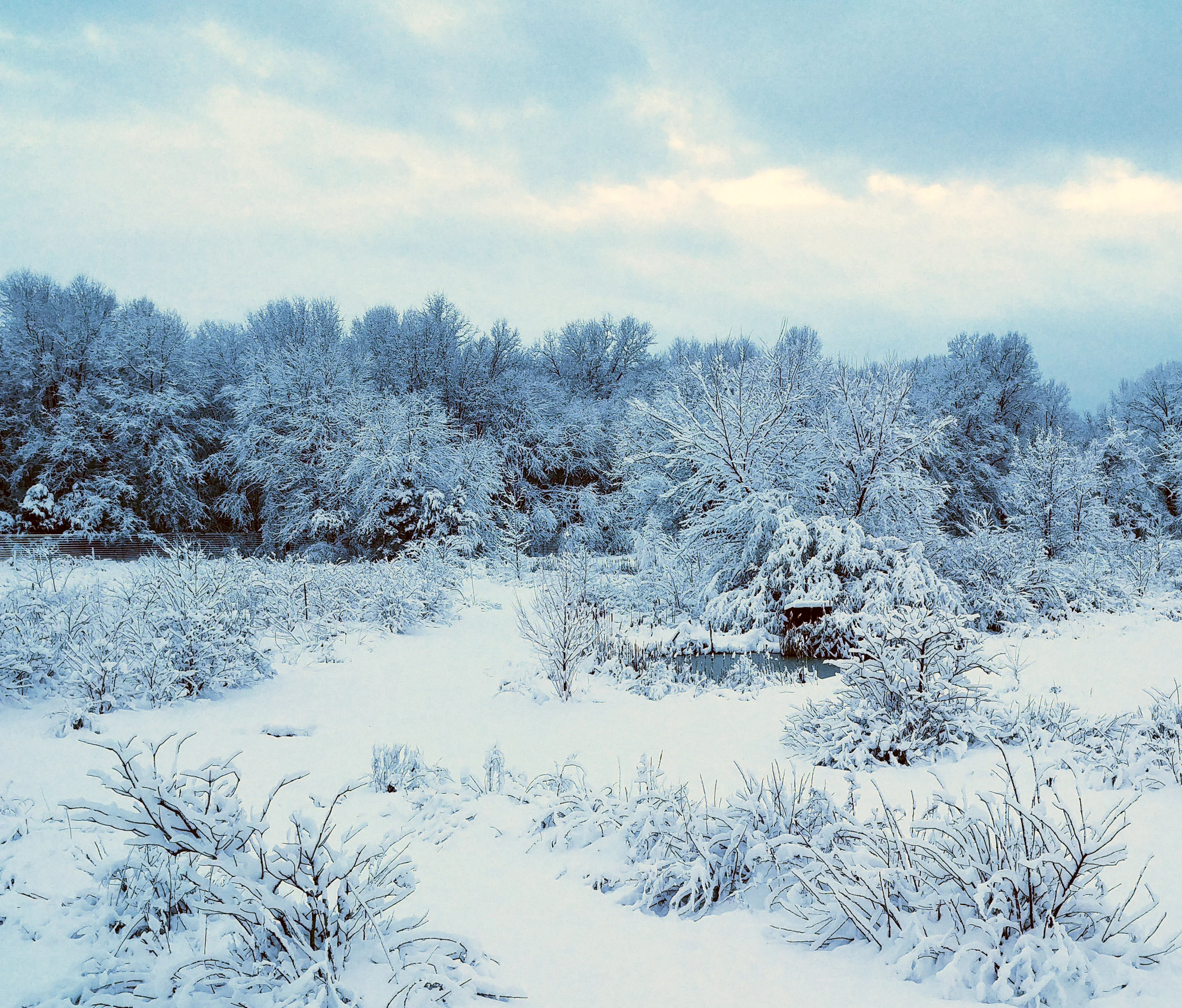 snow-center-field-0304190641_HDR.jpg