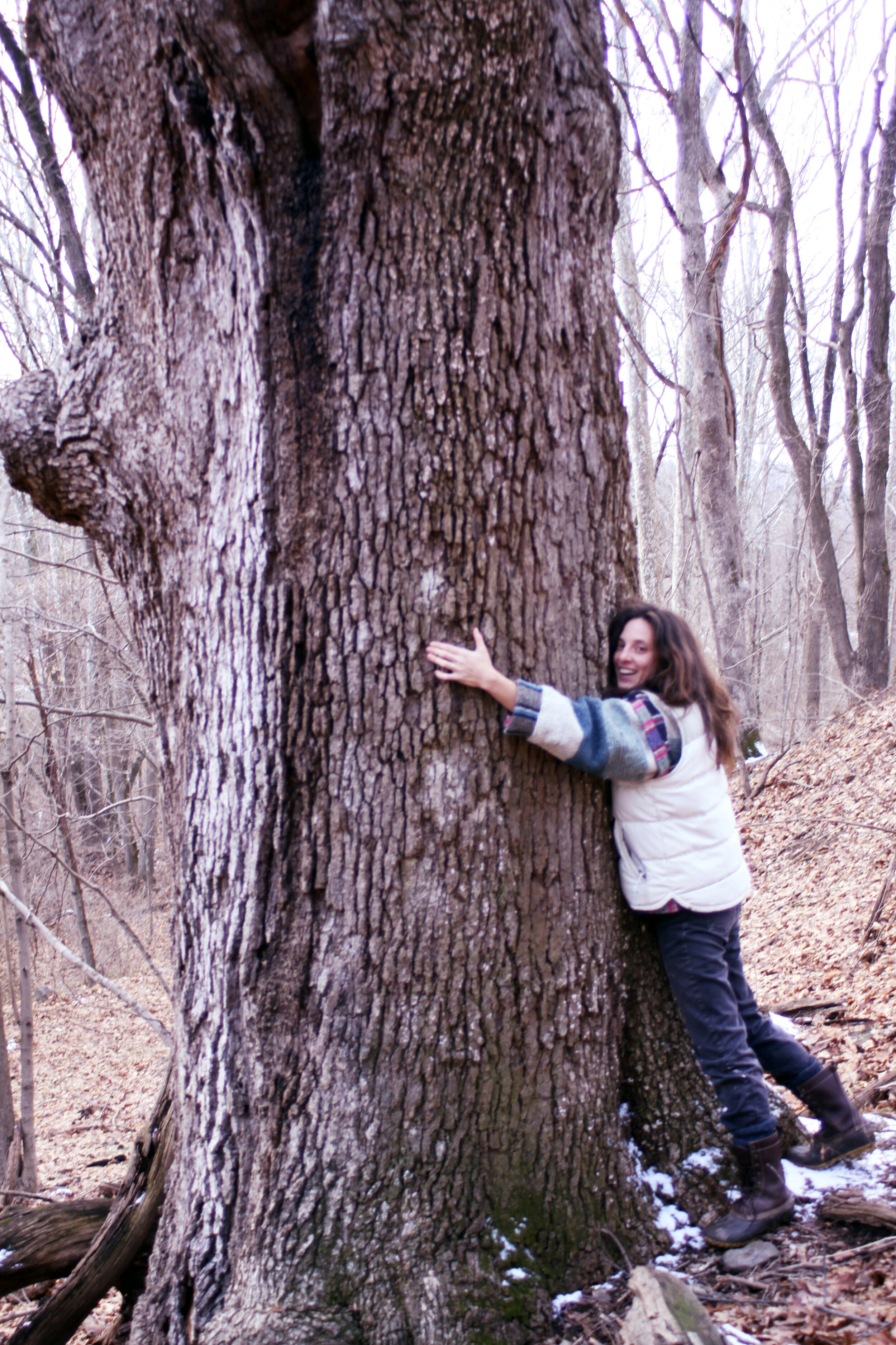 tree-hugger.jpg
