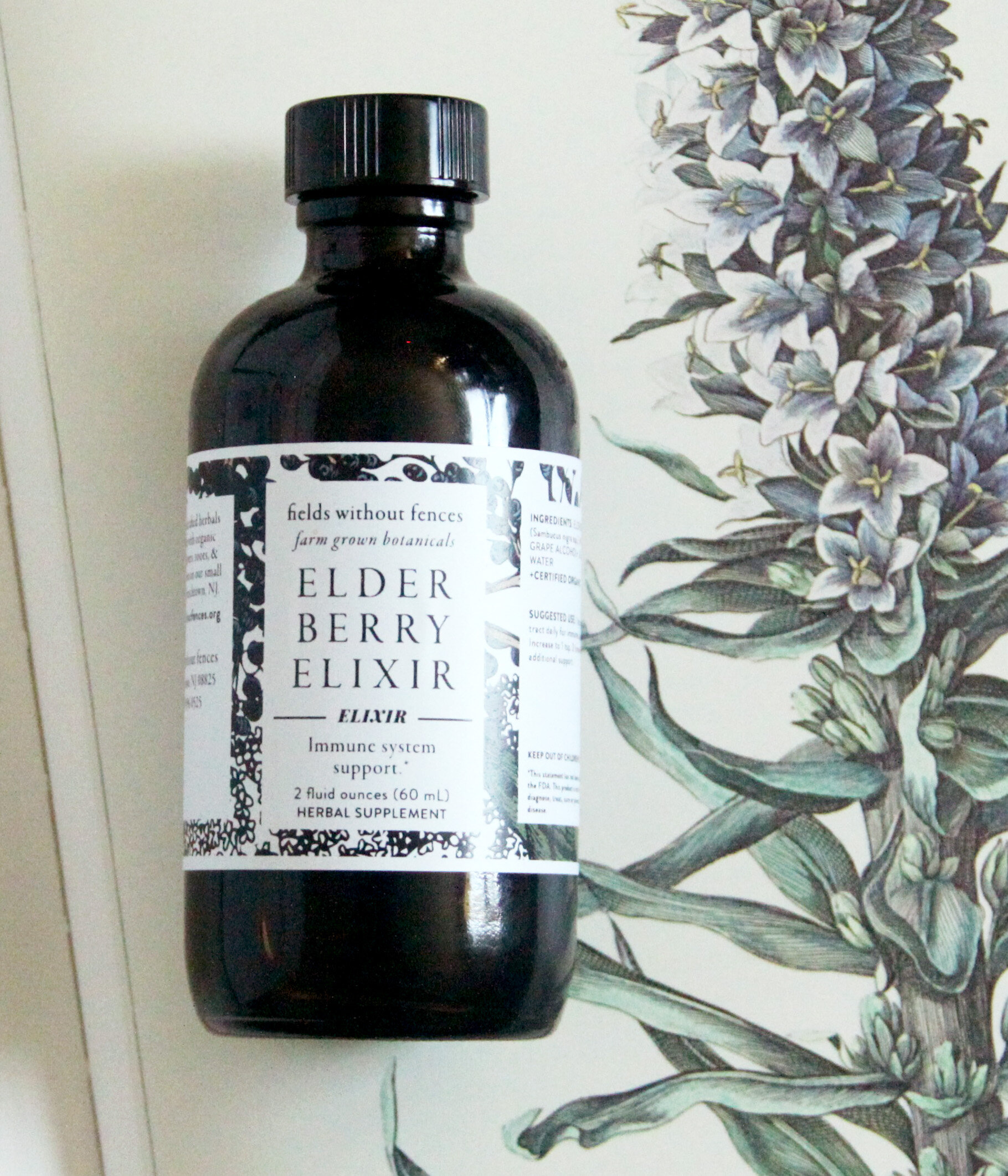 elderberry-elixir_4178.jpg