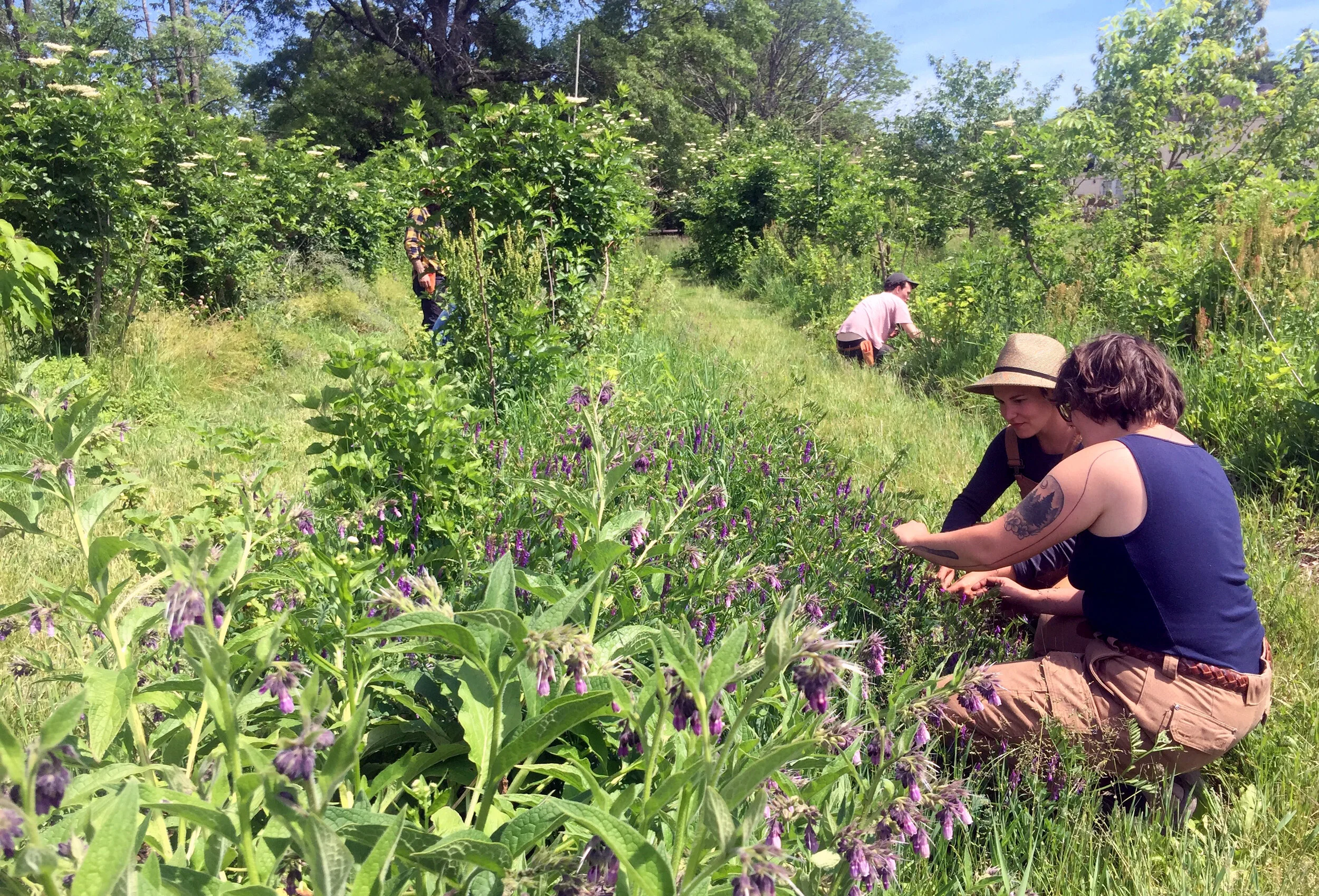 Fields Without Fences Apprenticeship Program Hiatus