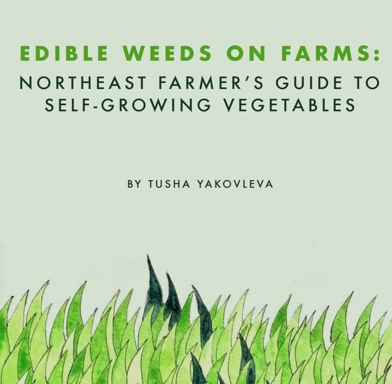 Beyond the Field: Edible Weeds on Farms / Northeast Farmer’s Guide to Self Growing Vegetables by Tusha Yakovleva