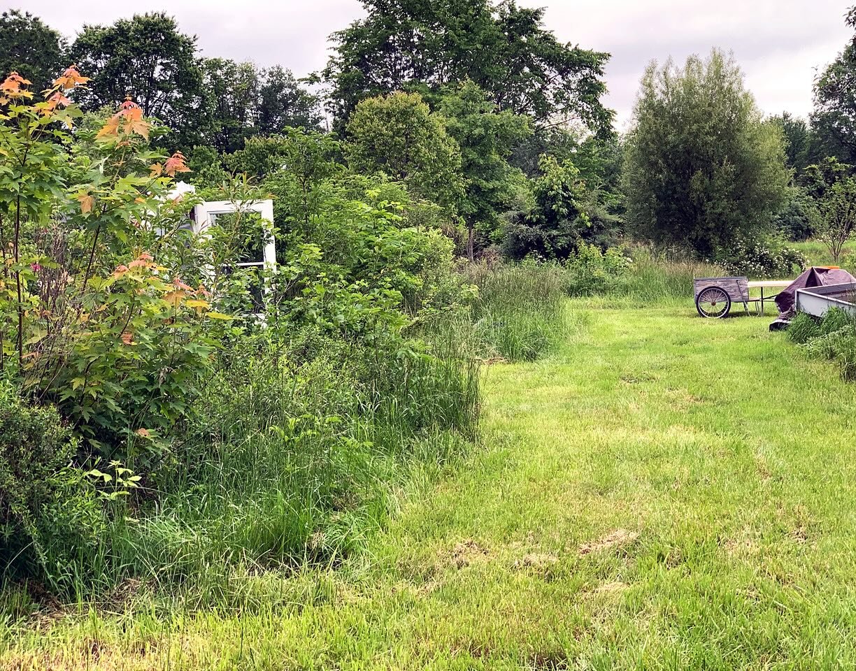 How do we do it all? We don&rsquo;t.

Was up at BIRD, the original farm, harvesting a wholesale order the other day, and had trouble seeing the hoop house through the forest garden&hellip;😅

Thank goodness nature generally rewards an abdication of c
