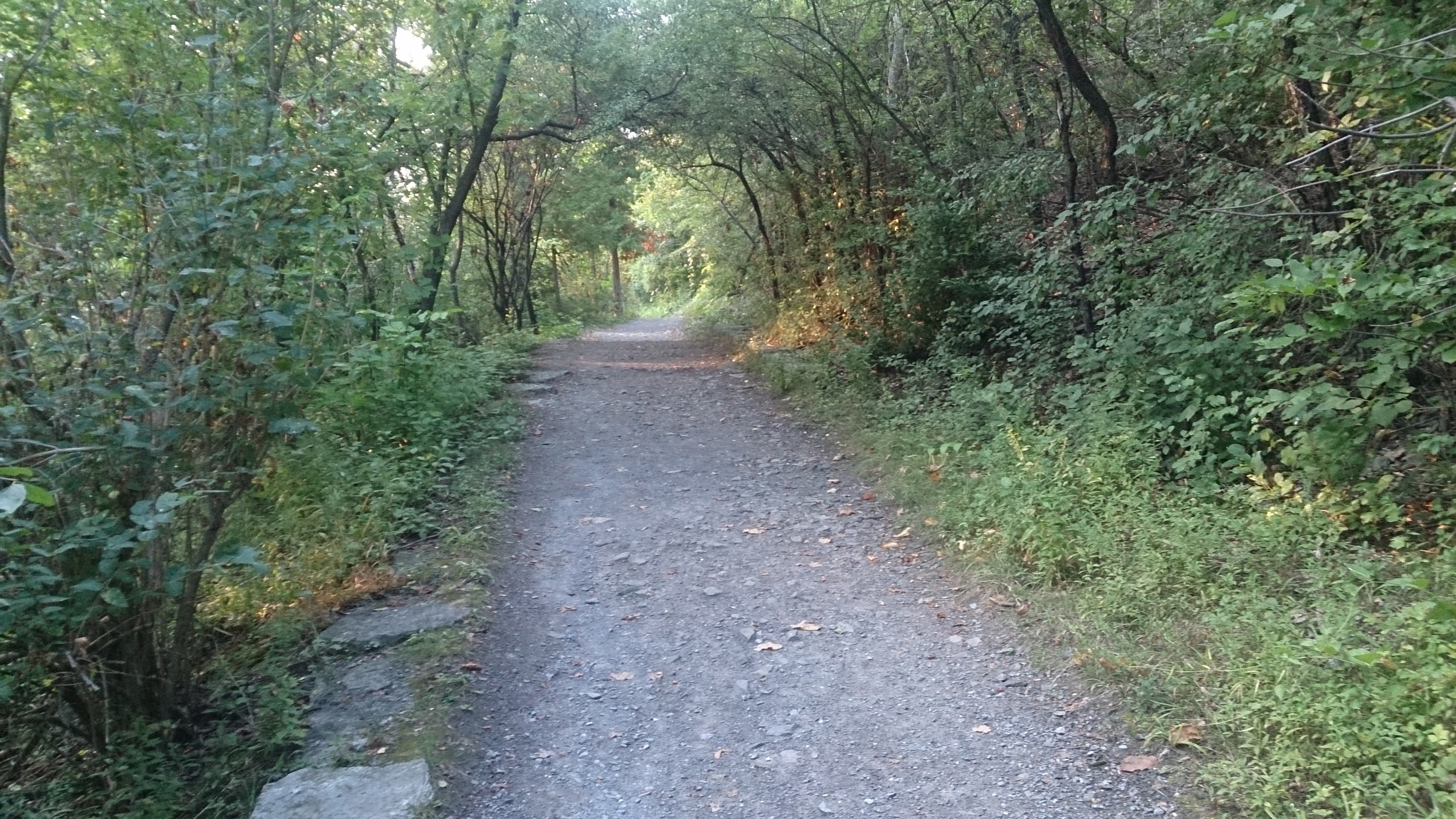 A cool little hiking trail near the Rideau Falls