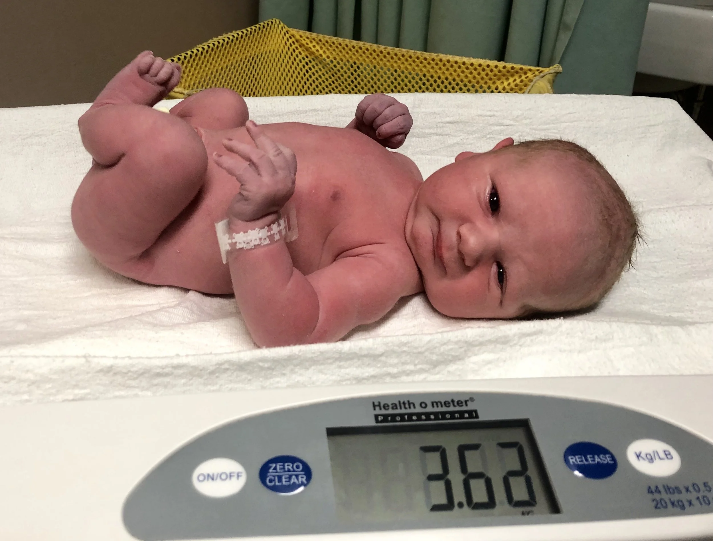 Zdeno Arthur Stein 8 pounds 20.75 inches long