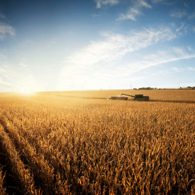 farmcredit-thumb5.png