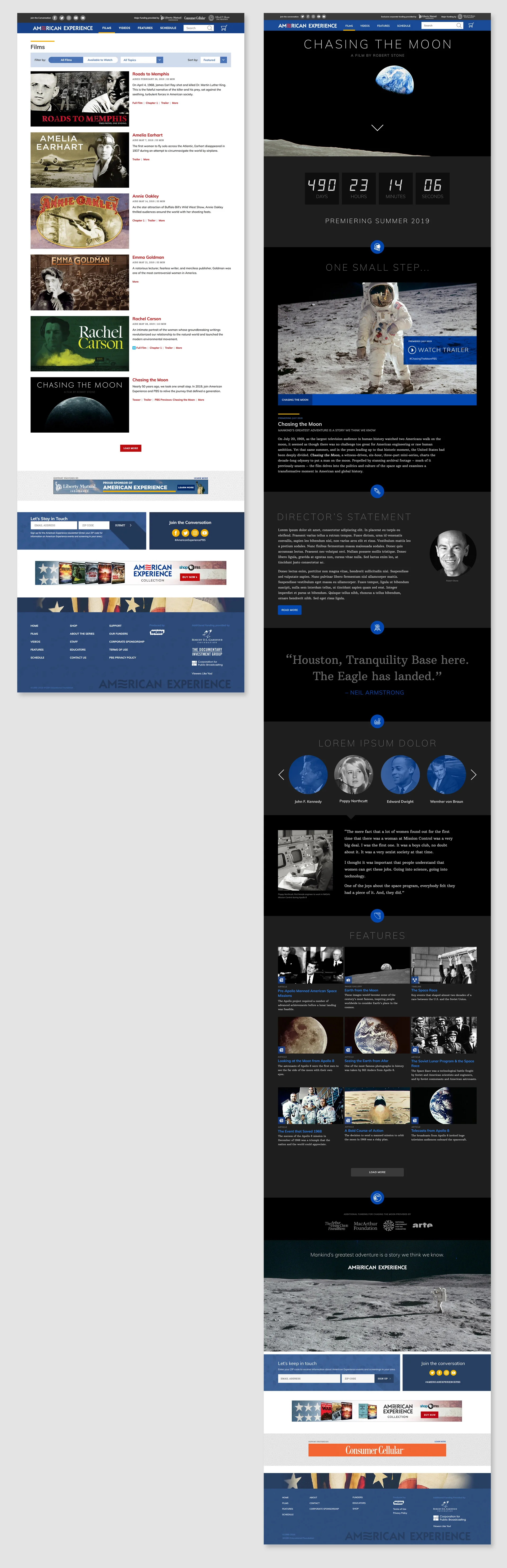 AMEX Visual Design.jpg