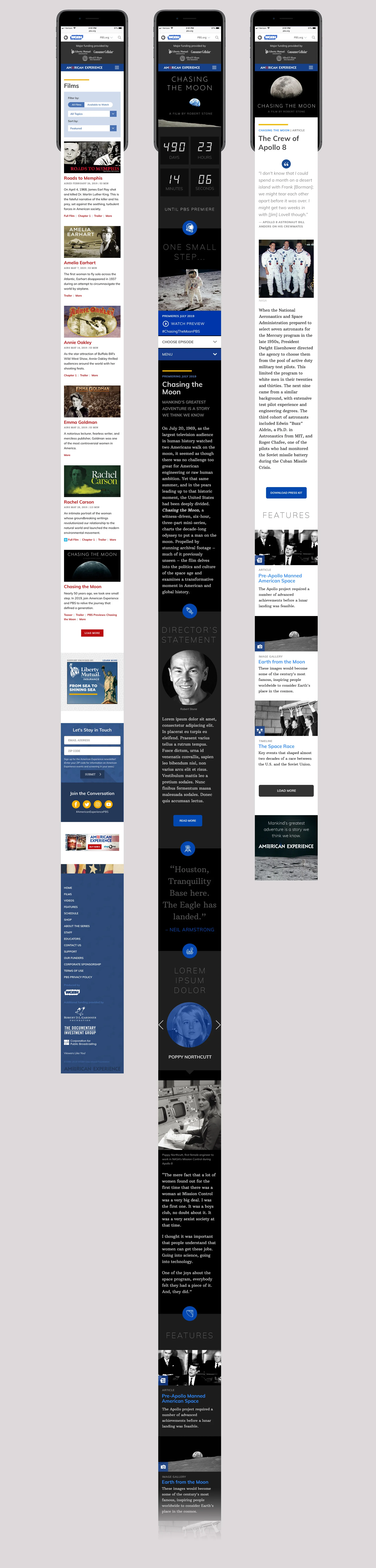 AMEX Mobile Visual Design.jpg