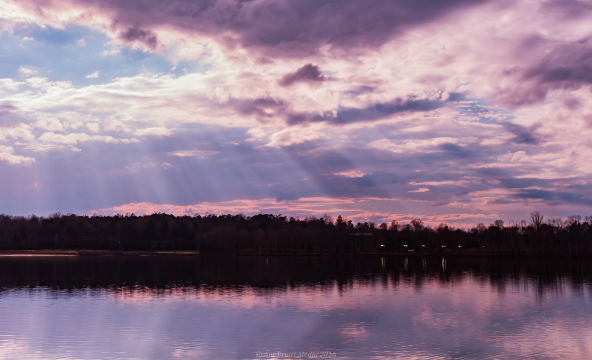 Image by Ant Pruitt All rights reserved