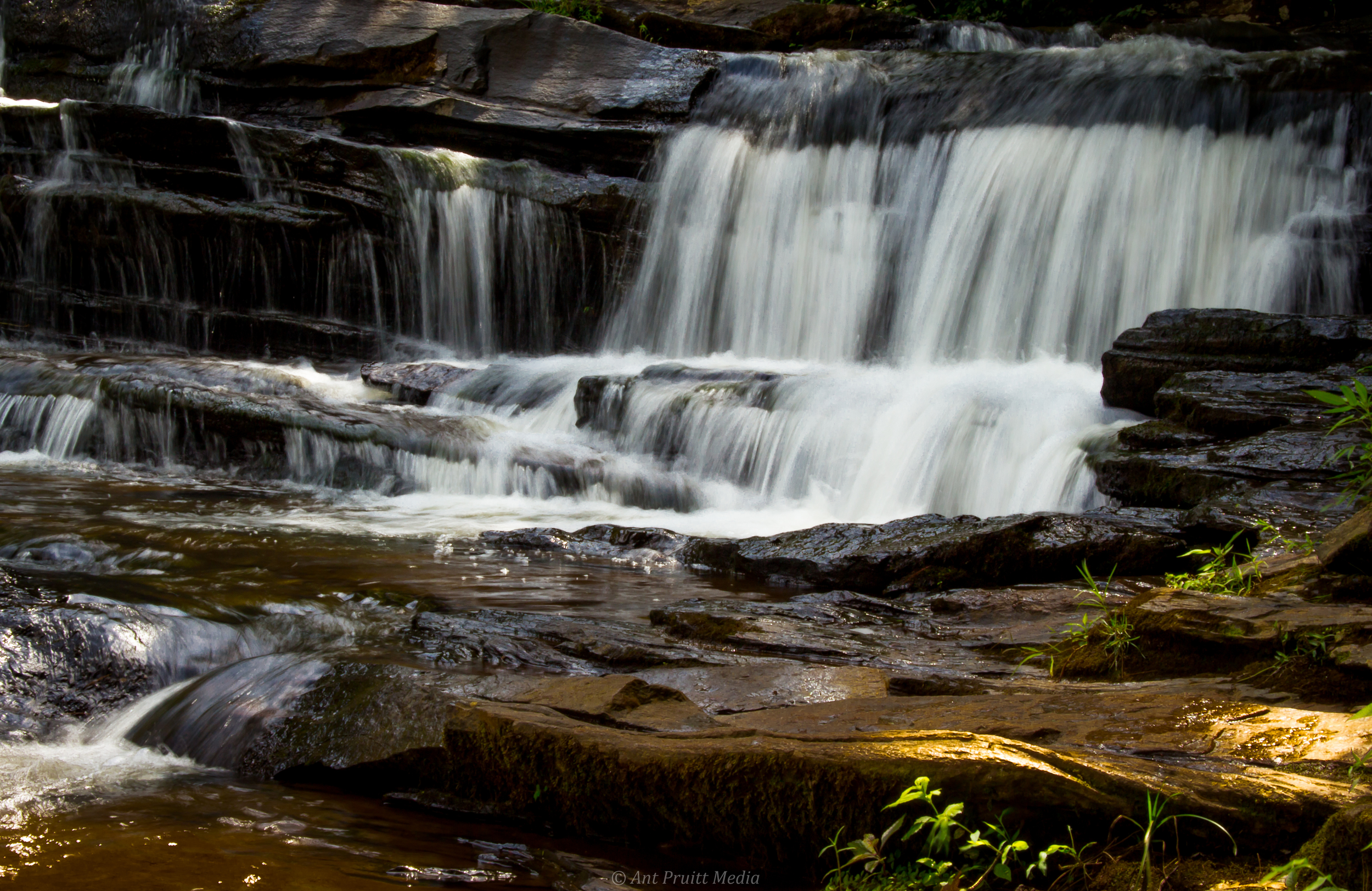Image by Ant Pruitt All rights reserved