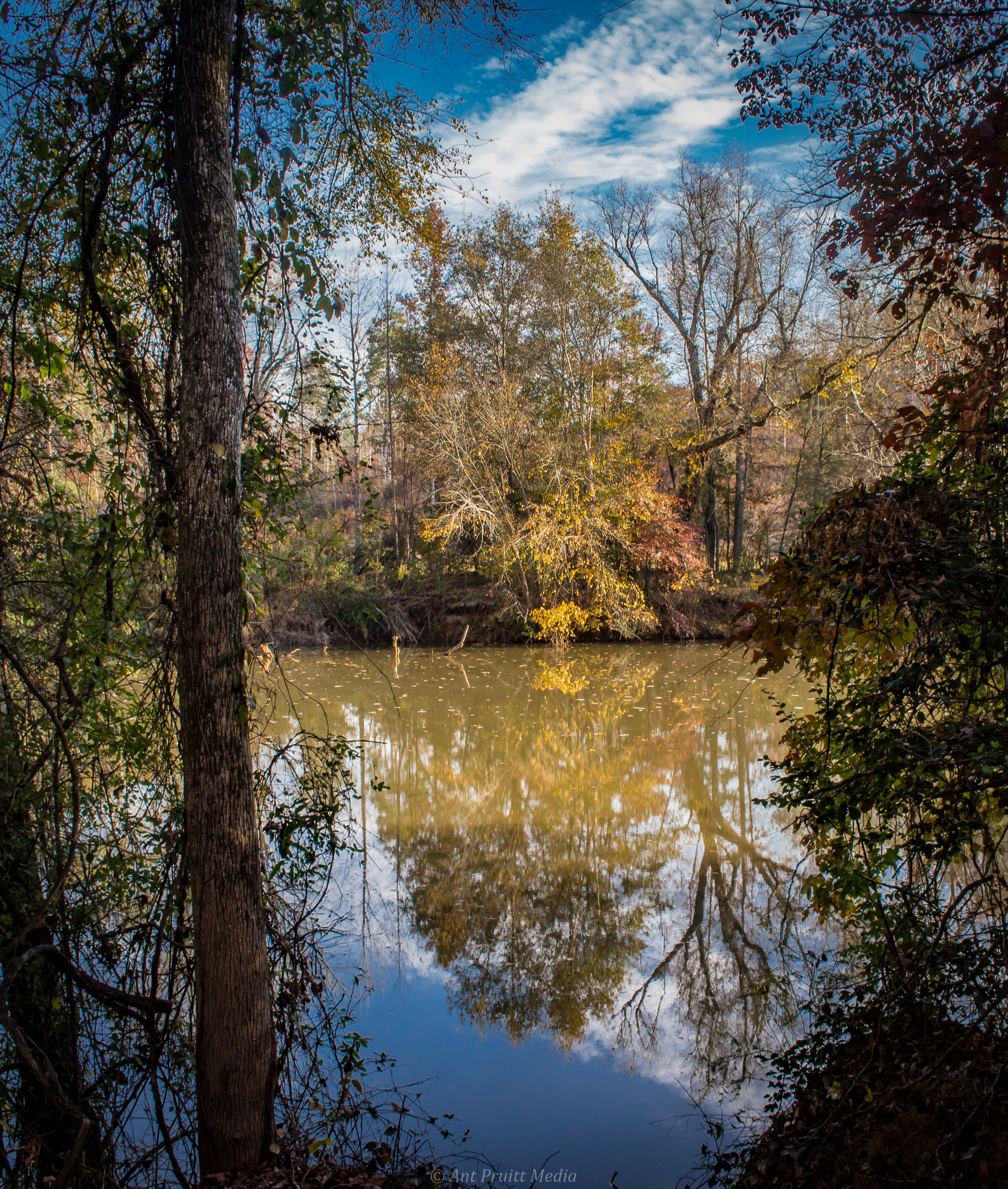 image by Ant Pruitt - all rights reserved