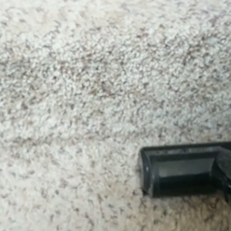 oreck-handheld.gif
