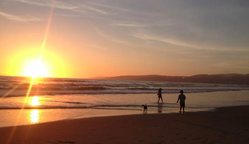 Sugar Babies and TJ at Sunset on the Beach.jpg