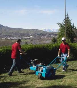 Thatching and Aerating is very important.