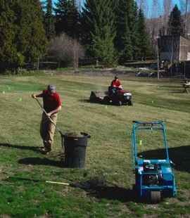 We have the right size equipment for your yard.