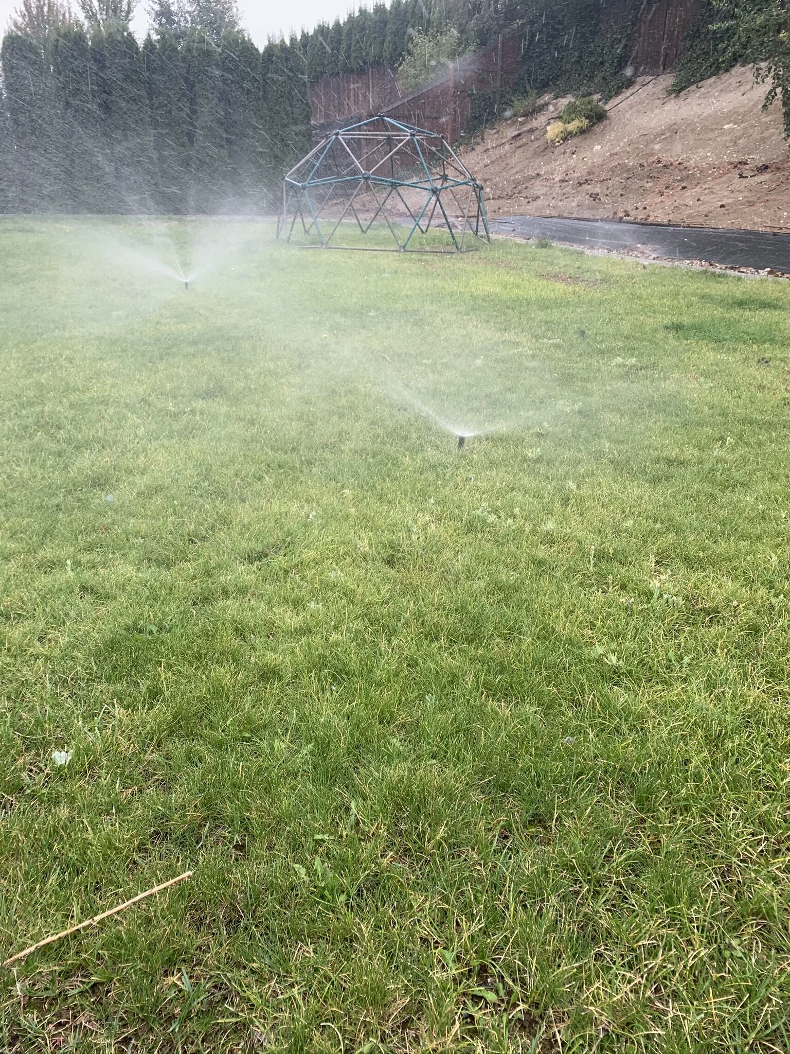 Irrigation Services — Allthrive Irrigation and Backflow