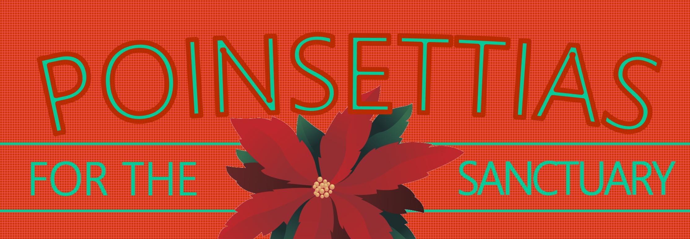 Poinsettias for Sanctuary 110316.jpg
