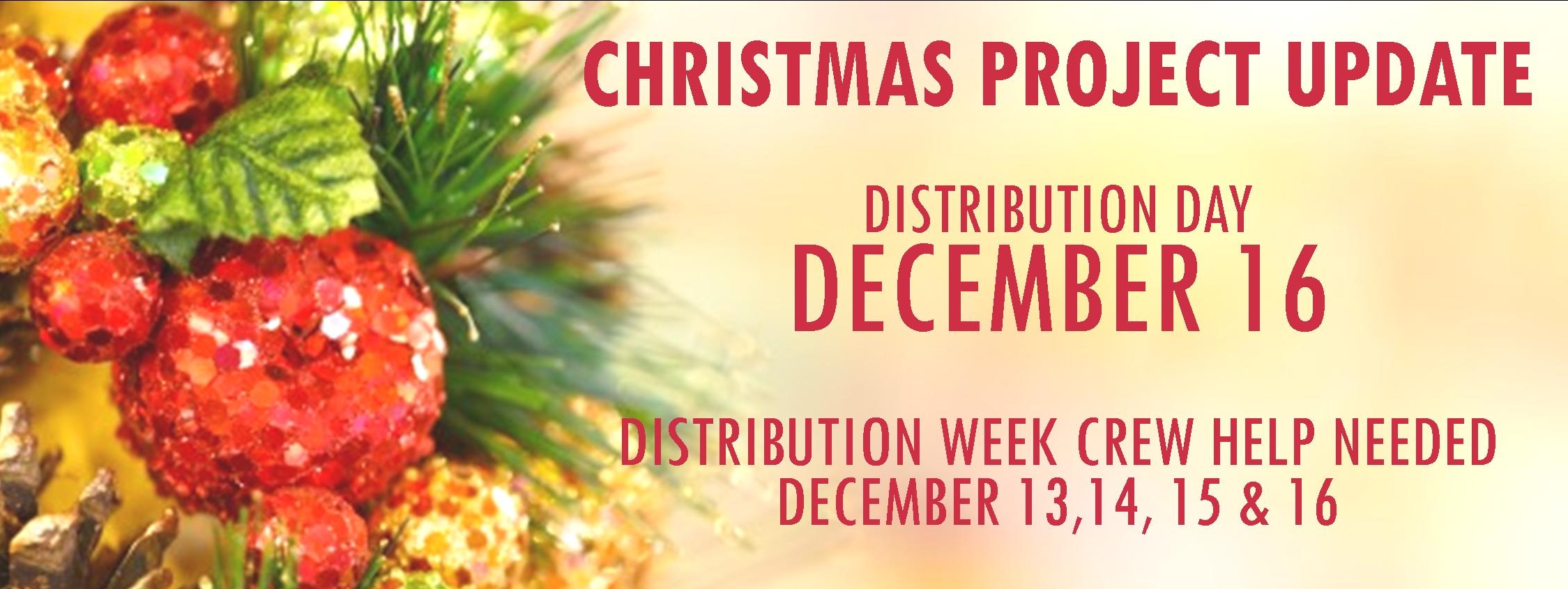 Christmas project update 121317.jpg