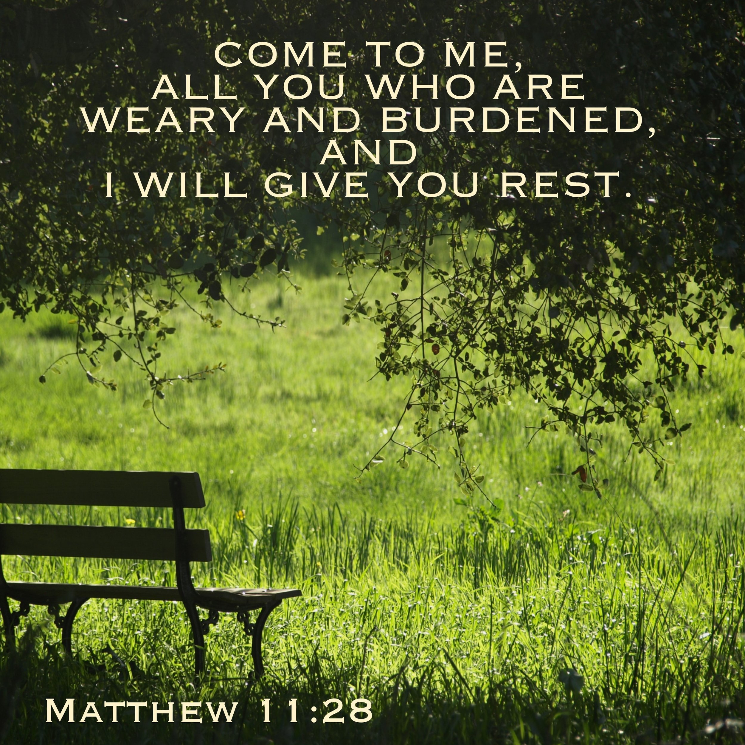 Oct 14 verse insta 101418.jpg