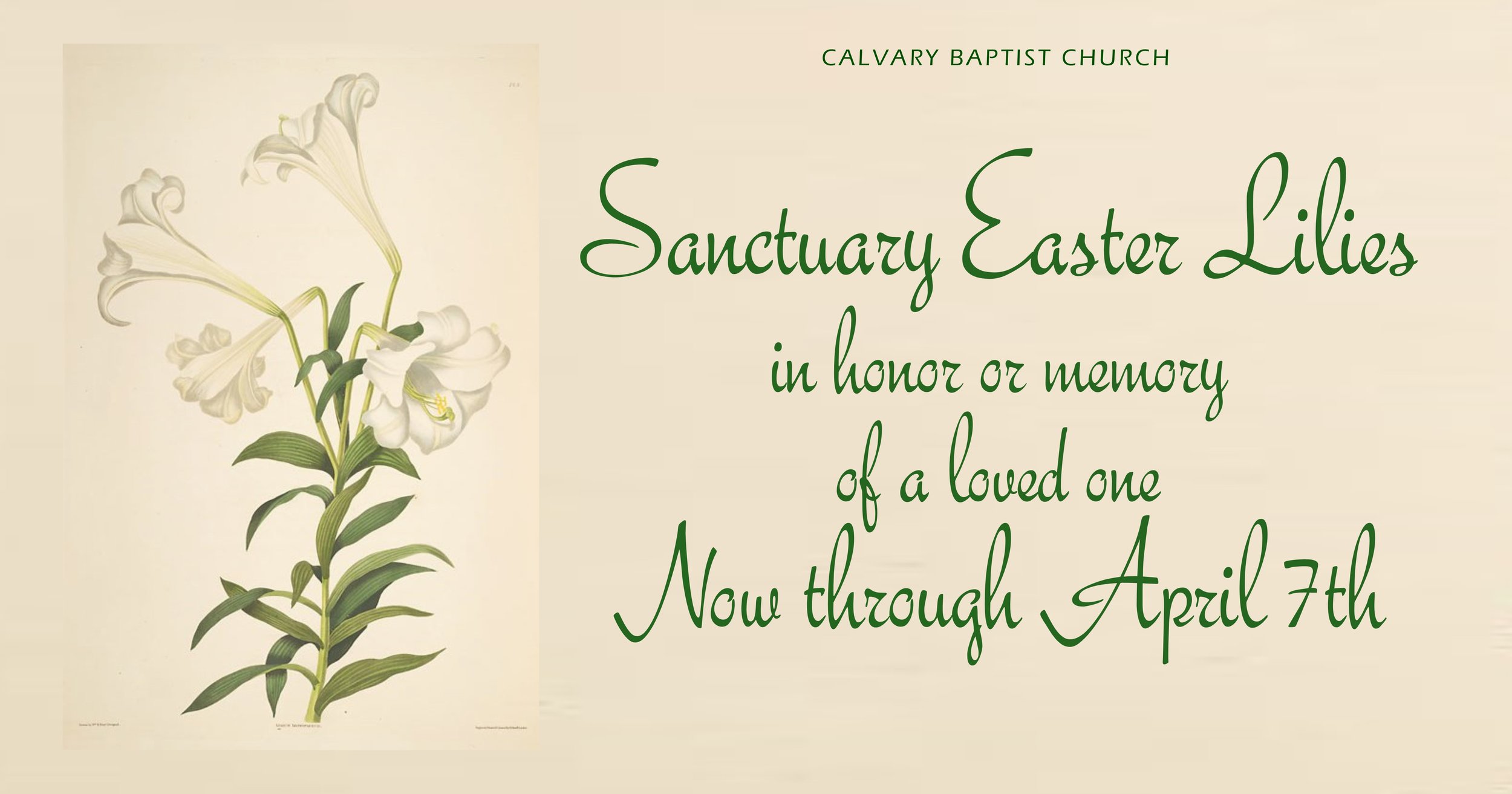Easter Lily fb 2019.jpg