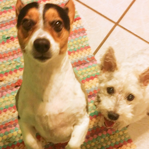 Arni and Abby