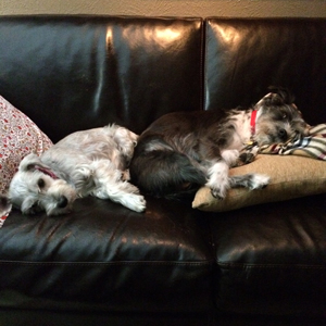 Best Friends
