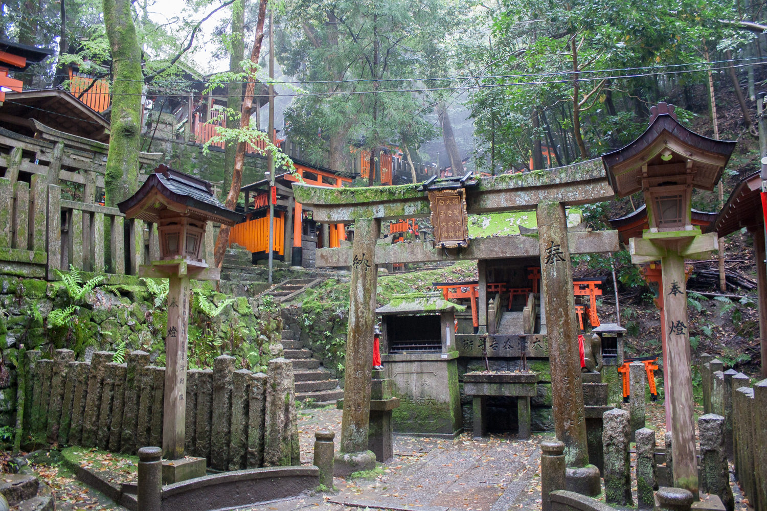  Fushimi Inari-Taisha, Kyoto 