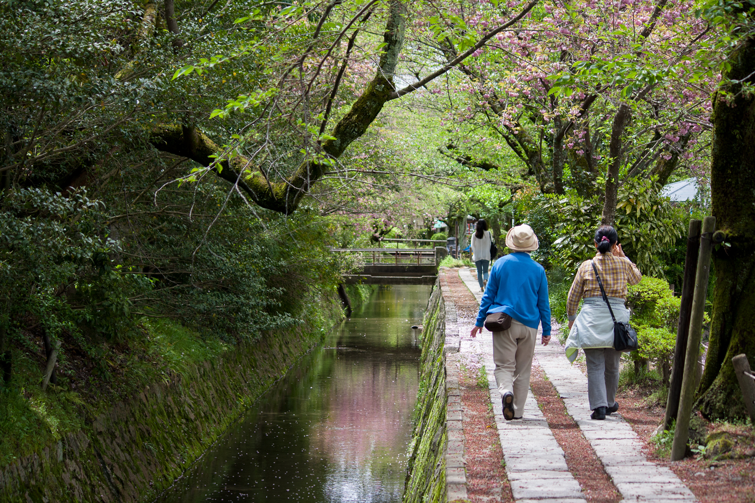  Philosopher's Path, Kyoto 