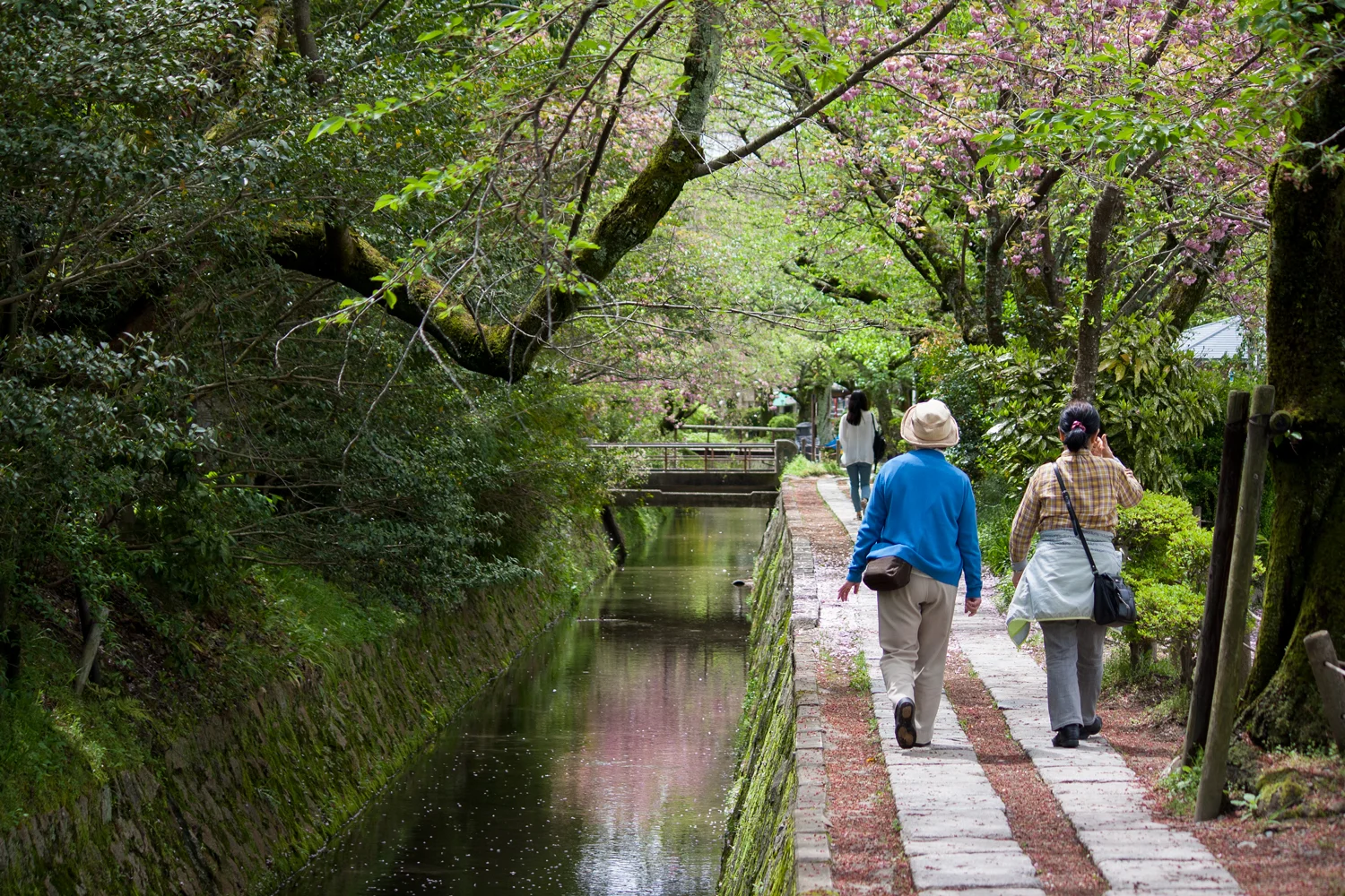 Philosopher's Path, Kyoto