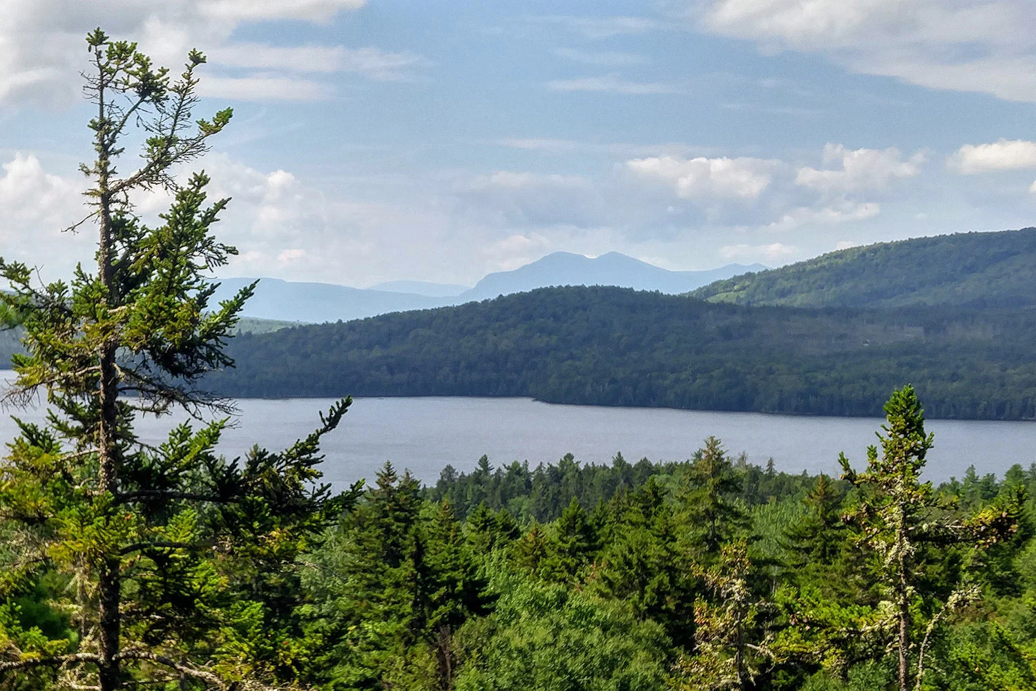 Coburn view from OM trail 8-1-18-cr.jpg
