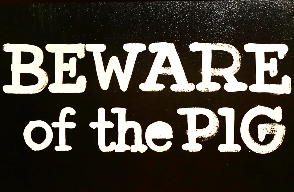 swine+-+downstairs+-+sign2.jpg