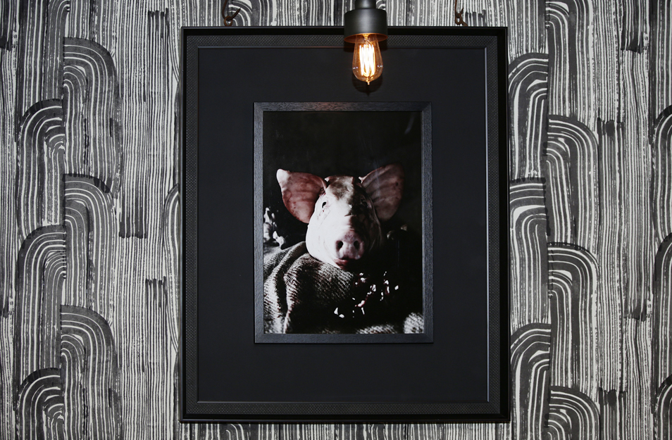 swine+-+upstairs+-+pig+art.jpg