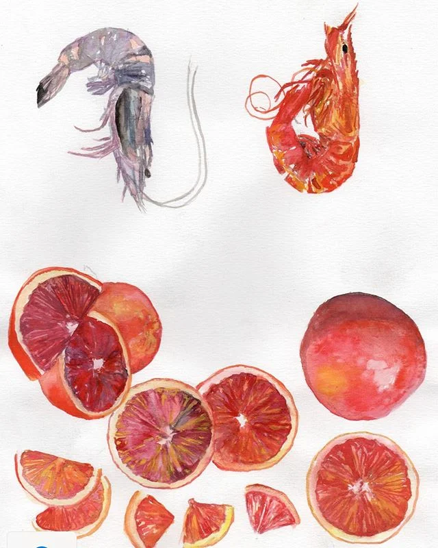 It&rsquo;s looking fishy with a squeeze of blood orange. 
This venue is shaping up. Complete with a restaurant, bar, wine store and grocer...designed by us @melissacollison 
All to be revealed soon but here&rsquo;s a hint...part of our artists artwork for the team uniforms we are designing.

#uniforms #art #mediterraneanfood #italian #bloodorange #octopus #sardines #restaurantdesign #hospitalitydesign #restaurant #bar #winecellar #grocer