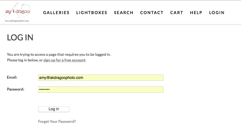 Account Login