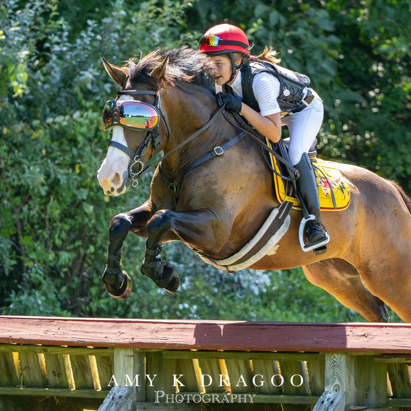 Adventure is out there!

#dragoocrew Fair Hill International @fairhillint