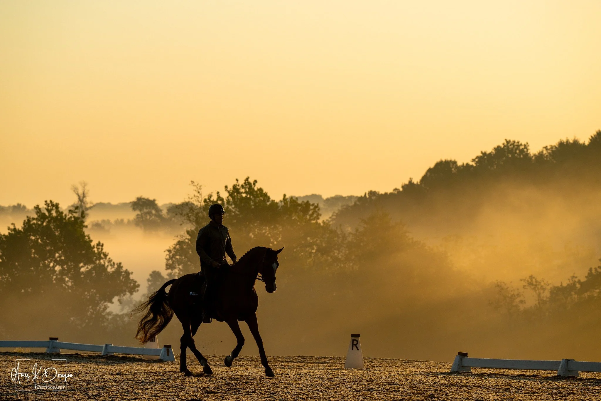 Early bird gets best light.
📸 Amy K. Dragoo

@plantationfield Plantation Field Horse Trials @boydmartineventing