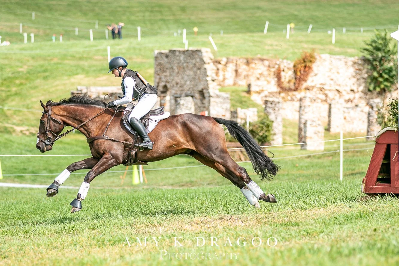 &quot;Land and get on with it!&quot;
📸 @luv4ridgies 

#dragoocrew @plantationfield Plantation Field Horse Trials