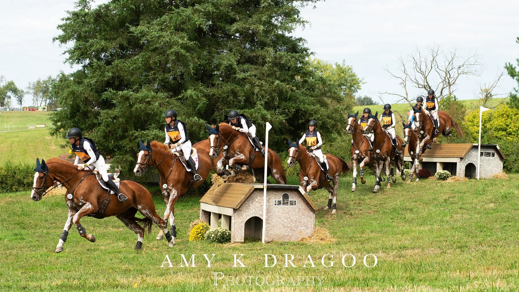 I do love an offset line.
📸 Amy Dragoo 
https://akdragoophoto.zenfolio.com/f298743845
@plantationfield  @kendallehari #4star #crosscountry #dragoocrew