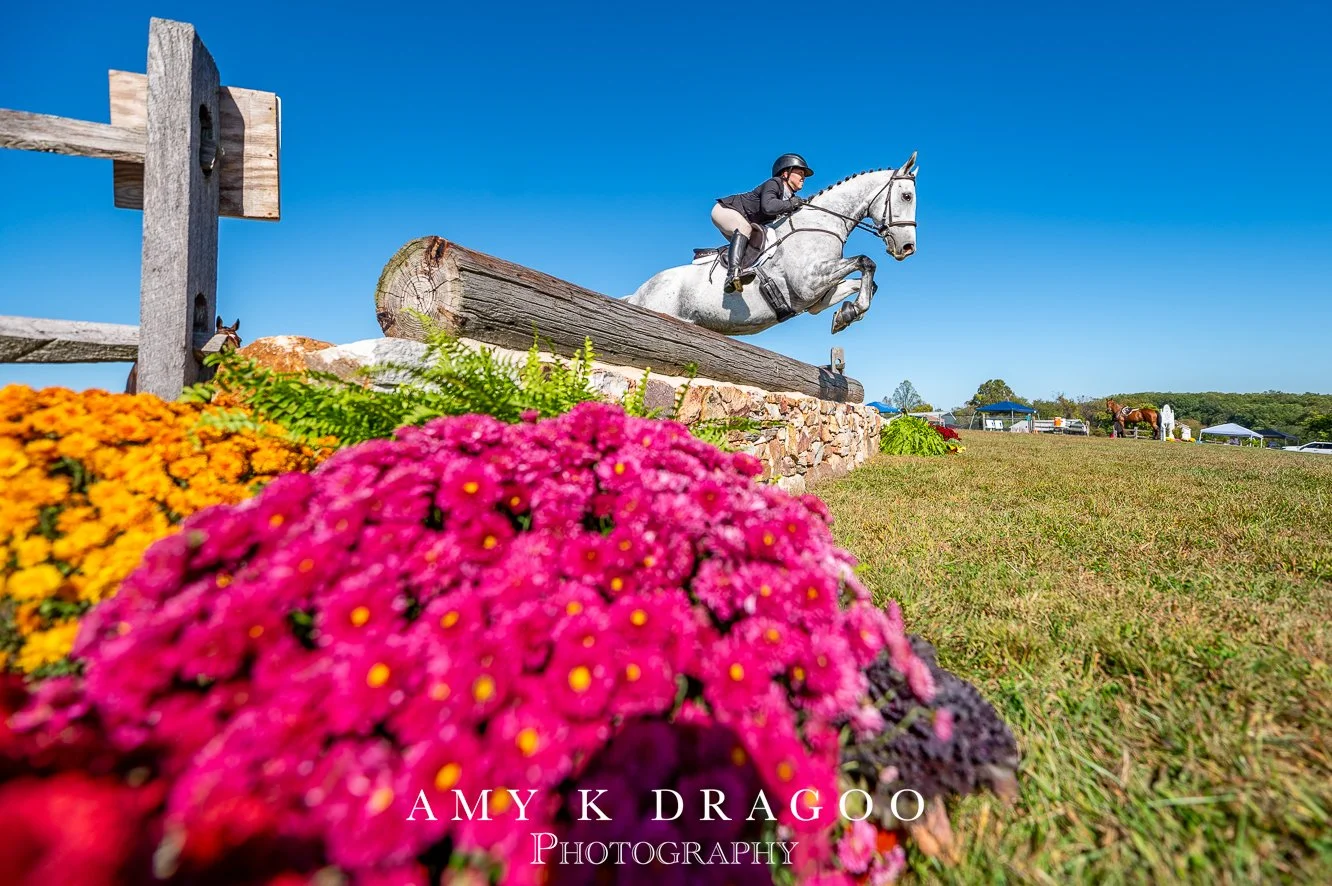 Some days are just glorious.
📸 Amy K. Dragoo

Cheshire Hunter Trials