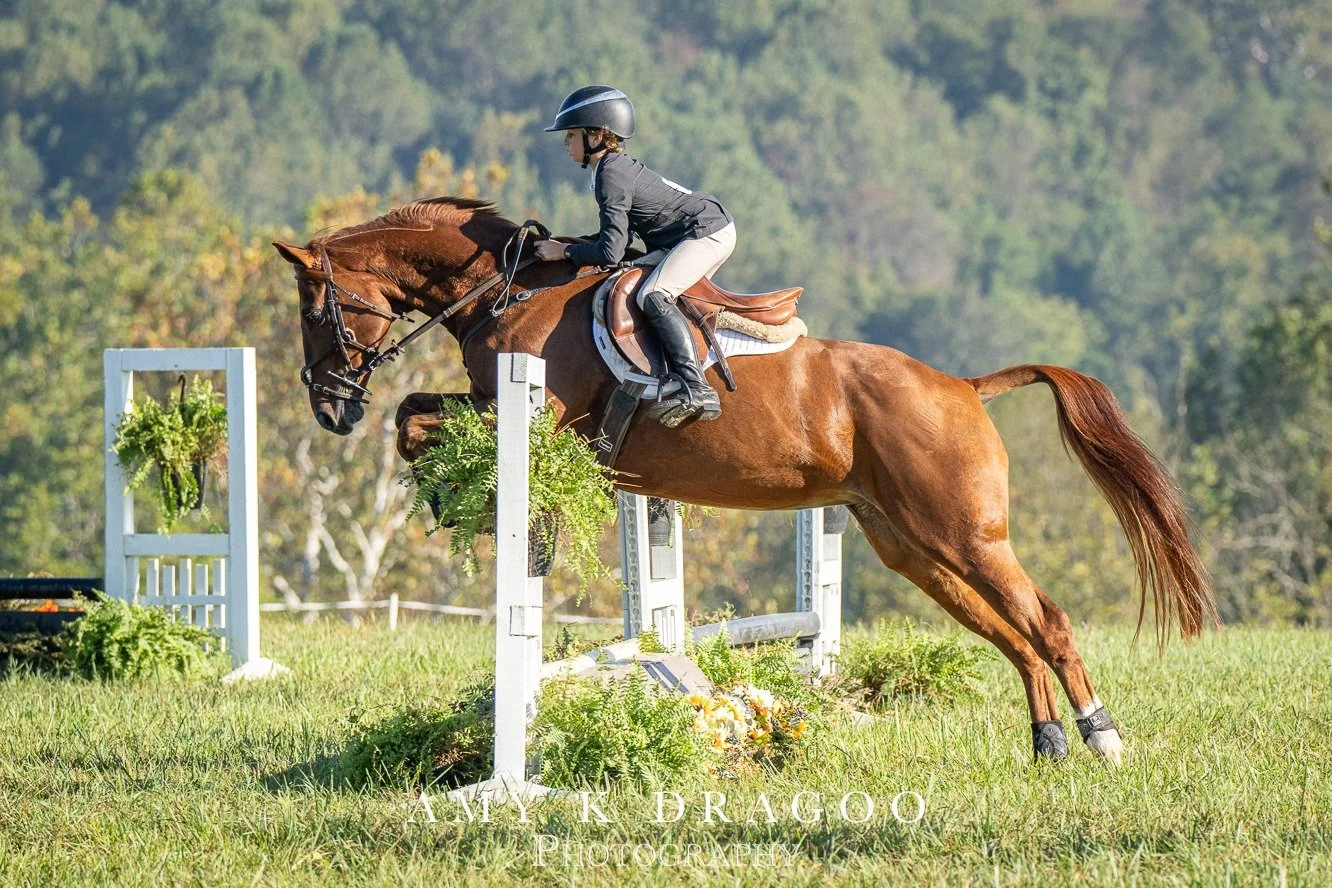 What does your 5* horse do on her weekend off? Looks like there is another Martin to look out for!
📸 Amy K Dragoo

Cheshire Hunter Trials