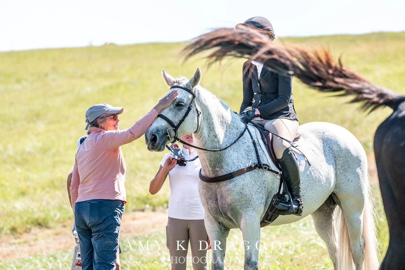 Expect the unexpected.
📸 Amy K. Dragoo

Cheshire Hunter Trials