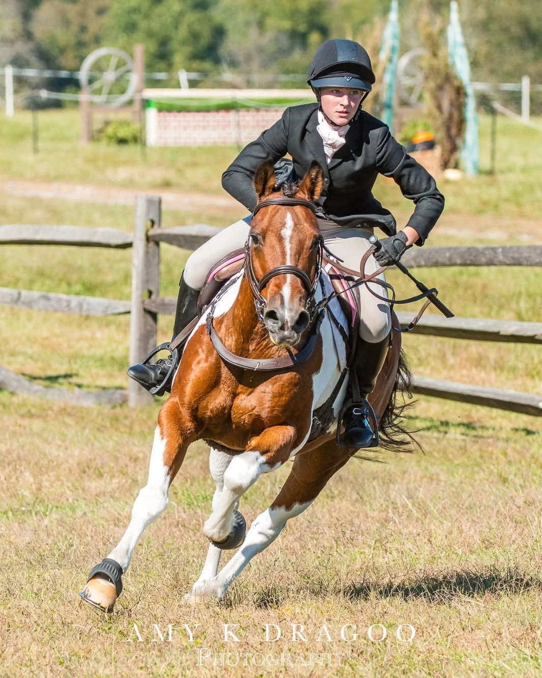 Watch out foxes of Chester County, this one means business.
📸 Charles Mann

Cheshire Hunter Trials 
https://akdragoophoto.zenfolio.com/f984214252