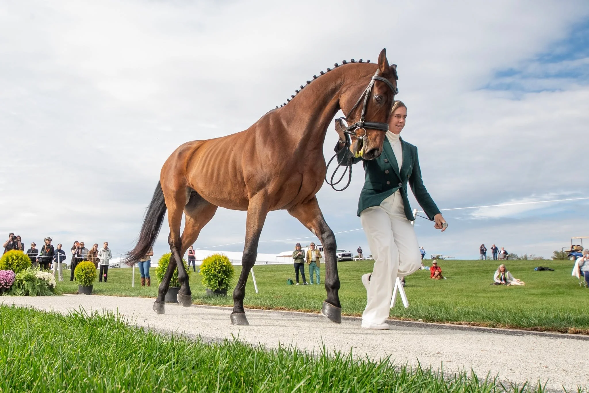 Editorial hat is back on this weekend at the @maryland5star; coverage for @practicalhorseman and @horseandhound
https://tinyurl.com/2srrredy
https://www.horseandhound.co.uk/