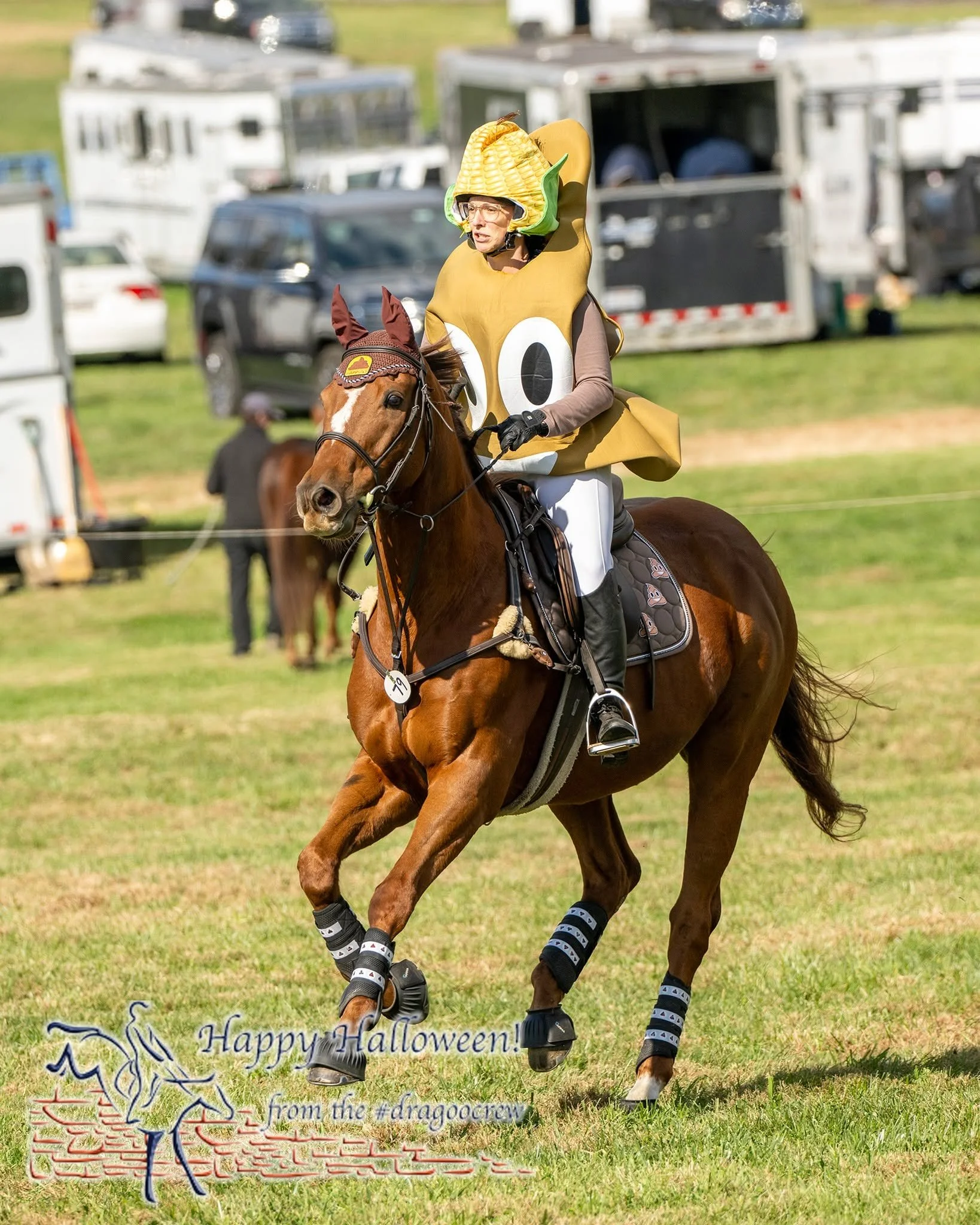 Plantation Field Horse Trials #halloweenhorsetrials celebrates not taking yourself too seriously.  So, this was by far a 💩💩💩 ride for Melissa D., but the addition of the 🌽 gave me the... giggles for the rest of the day. 📸 Amy Dragoo

#weveallbee