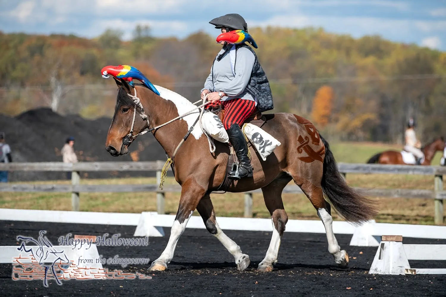 Does a parrot count as unauthorized assistance? 
Three horses, three levels, three costumes in a theme. That's Annie Renzetti!
📸 Stacey Wigmore, Nicole Severino, Amy Dragoo
Plantation Field Horse Trials