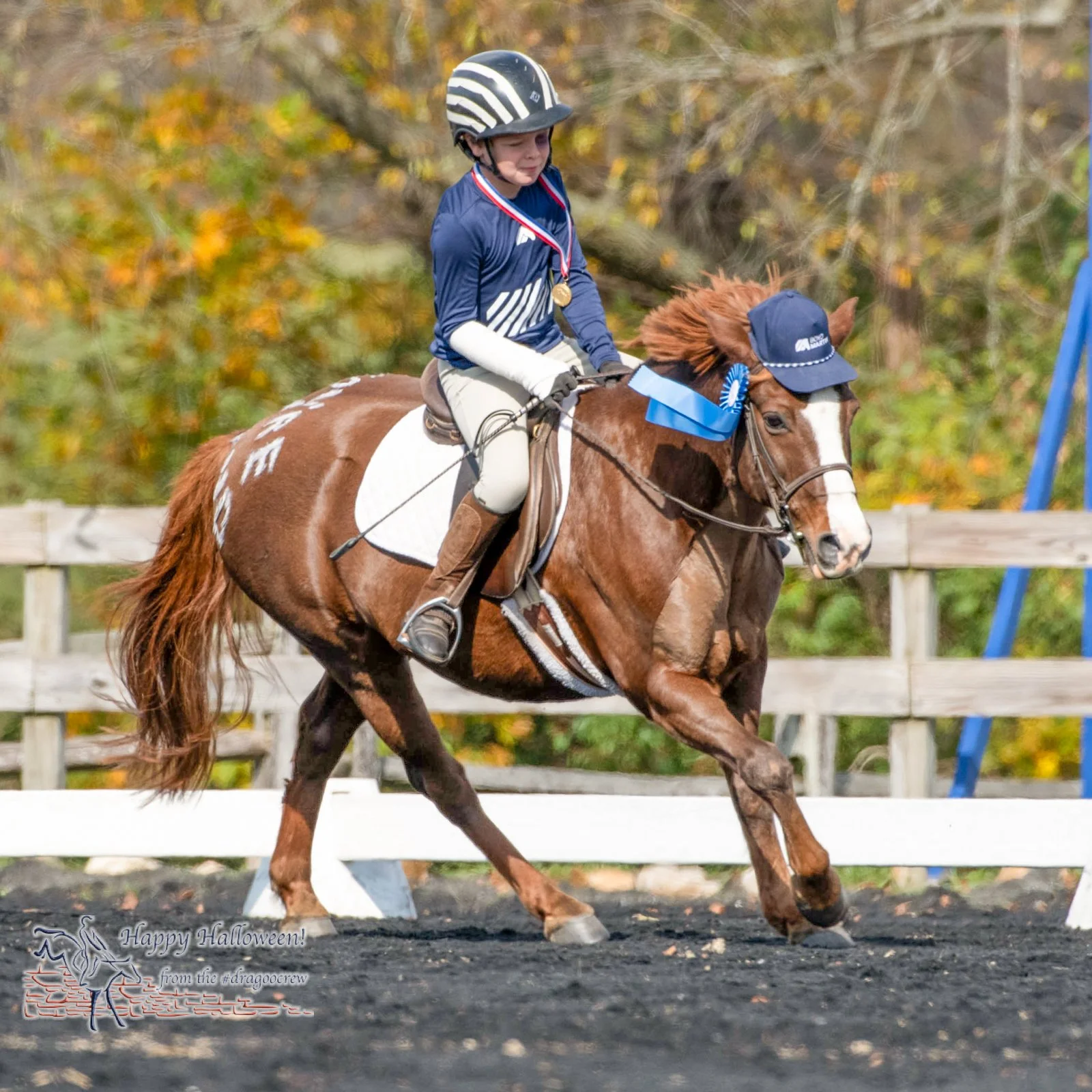You know you've made it when you are a Halloween costume inspiration. You must be an Olympian when you inspire more than one.
Complete with broken bone and black eye!
Boyd Martin Plantation Field Horse Trials 
#happyhalloween🎃