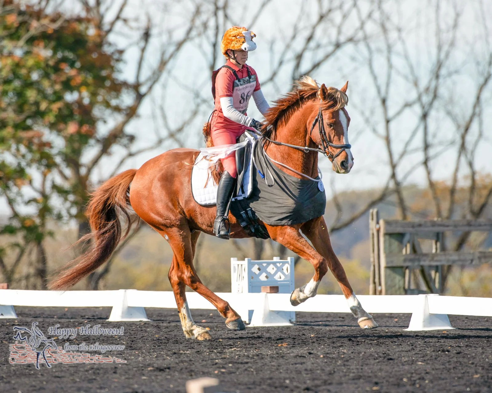 The annual Vet Challenge brings out Drs. of the large and small, vet students and a lot of smack talking. In honor of this, the vet is the horse and the horse is the vet, complete with rectal sleeve and gastric tube.
Plantation Field Horse Trials 
#h